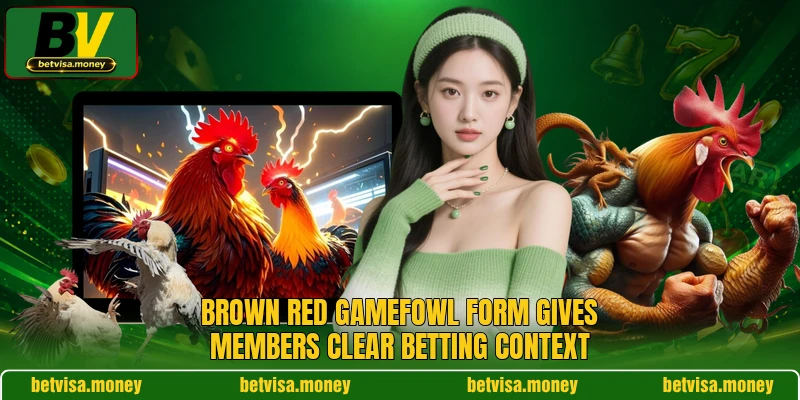 Brown Red Gamefowl form gives members clear betting context