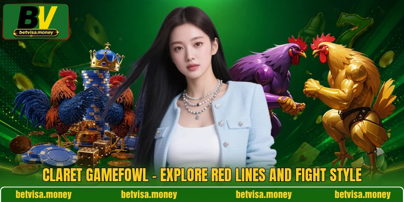 Claret Gamefowl - Explore Red Lines And Fight Style