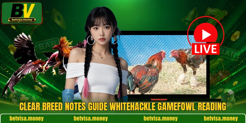 Clear breed notes guide Whitehackle Gamefowl reading