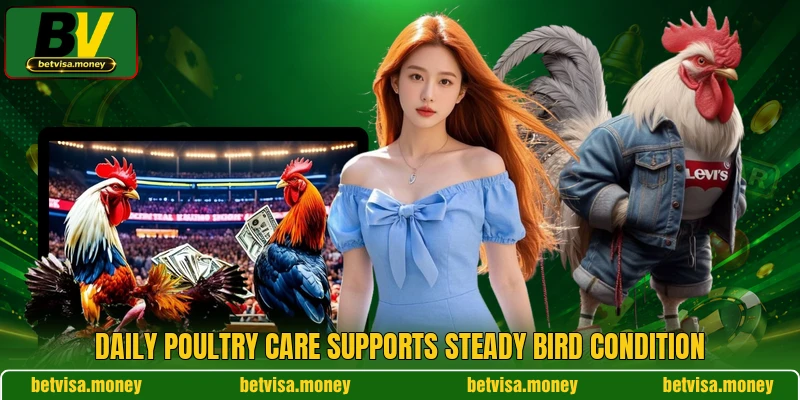 Daily poultry care supports steady bird condition