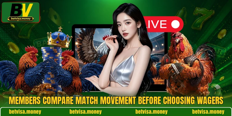 Members compare match movement before choosing wagers