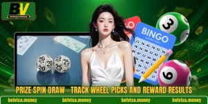 Prize Spin Draw - Track Wheel Picks And Reward Results